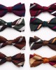 Lei'er double-layered men's bow tie, striped British business bow tie, Korean-style groomsmen wedding shirt bow tie, in stock