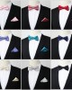 Men's party business casual formal accessories, two-piece bow tie pocket square set, wholesale tie manufacturers in Shengzhou