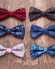 New men's bow ties, stylish boxer-style business casual polyester bow ties, manufacturer, and wholesale men's striped bow ties.
