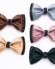 Lei'er solid color diamond-embellished bow ties, fashionable men's shirt, suit, banquet, and wedding accessory bow tie manufacturer.