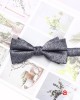 Lei'er men's Korean-style casual bow tie, polyester printed dark pattern bow tie, performance accessory, bow tie, Shengzhou manufacturer and wholesale.