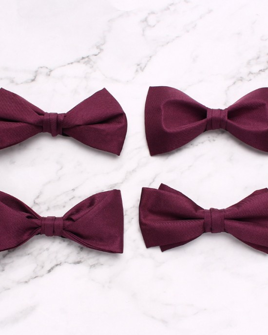 Lei'er men's silk groom's tie for wedding dress photography, Chinese-style personalized bow ties, fashionable burgundy bow ties in stock.