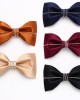 Lei'er silver decorative bow tie, trendy shirt, suit, banquet, wedding accessory, men's fashion bow tie manufacturer