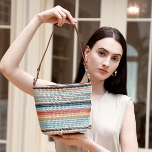 Women's Bag, a Trendy, Niche Bucket Bag, a Crossbody Handbag, a High-End Niche Woven Shoulder Bag
