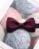 Lei'er men's silk groom's tie for wedding dress photography, Chinese-style personalized bow ties, fashionable burgundy bow ties in stock.