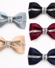 Lei'er silver bow tie, men's diamond bow tie Manufacturer of stylish Korean-style bow ties for groomsmen and groomsmen.
